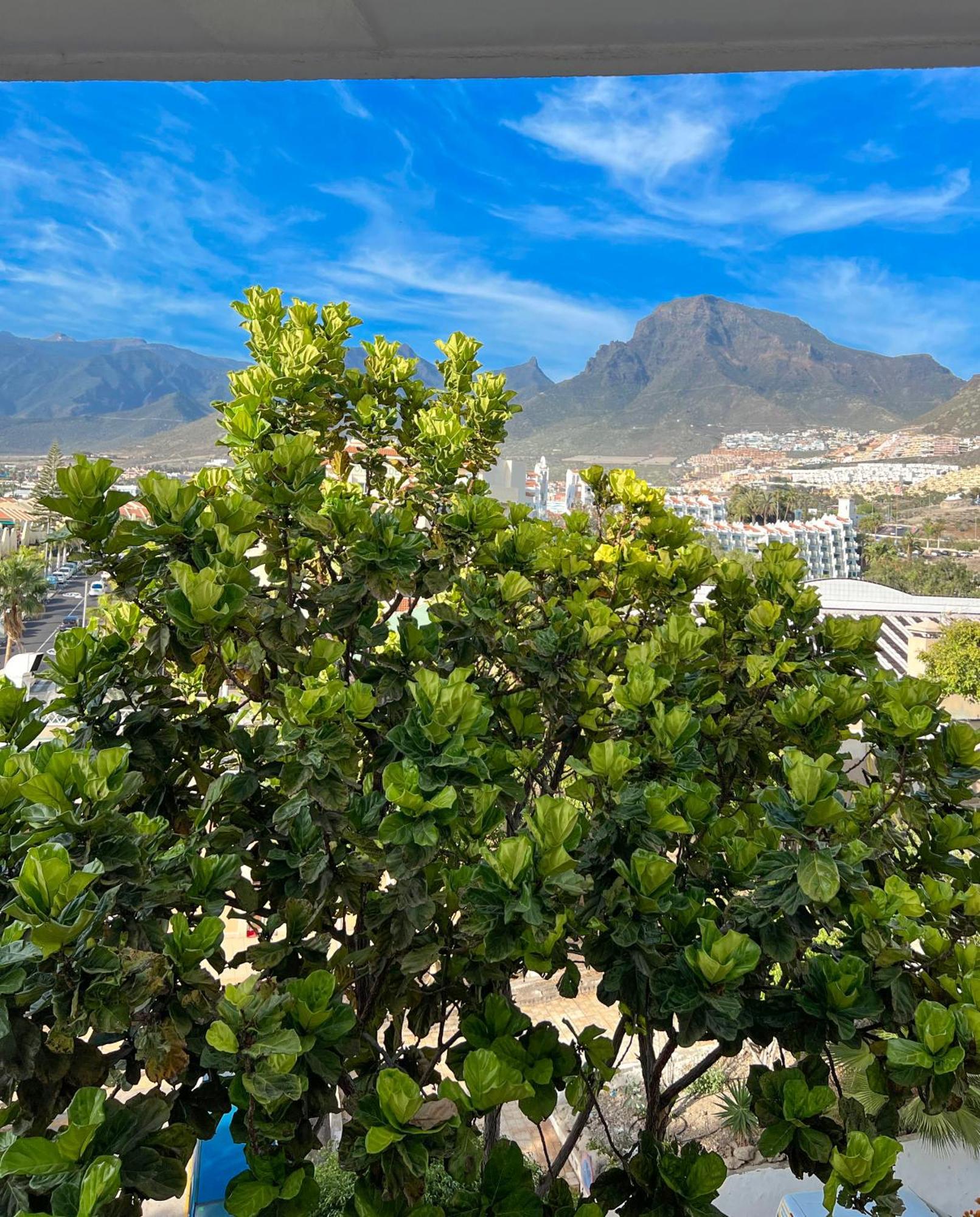 Tenerife Paradise Anna Studio Costa Adeje  Ngoại thất bức ảnh