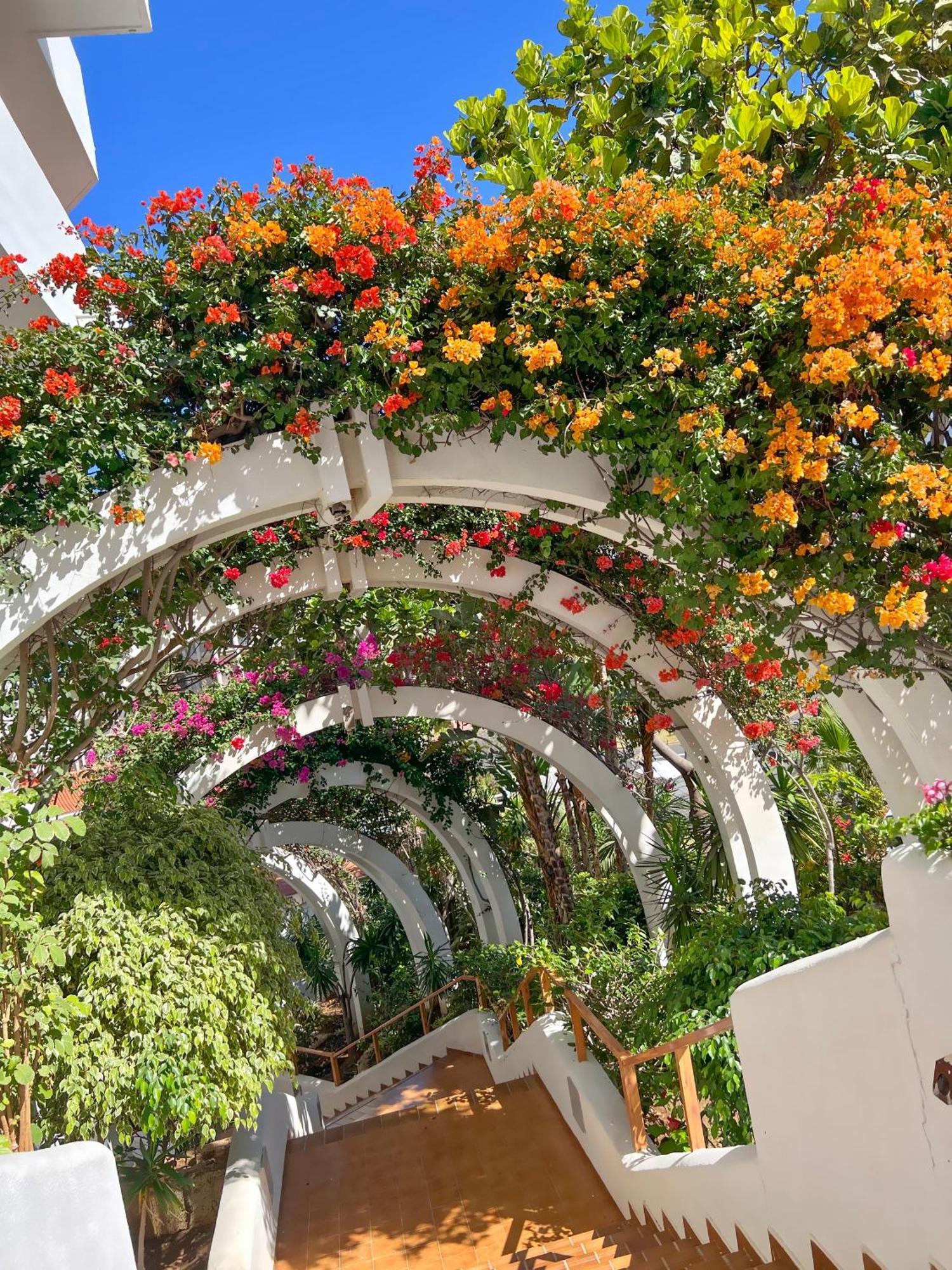 Tenerife Paradise Anna Studio Costa Adeje  Ngoại thất bức ảnh